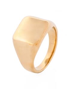 Ion Plated 14K Gold Polished Stainless Steel Signet Ring