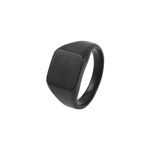 Ion Plated Black Brushed Stainless Steel Signet Ring | Cudworth