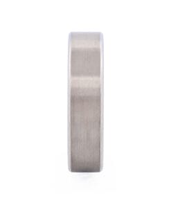Stainless Steel Ring