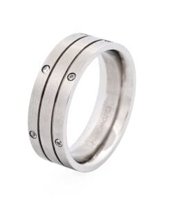 Alternative view of Stainless Steel Ring