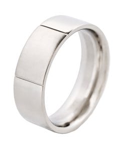 Stainless Steel Ring